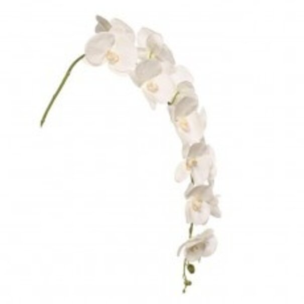 Orchid Branch large White  H140