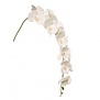 Orchid Branch large White  H140