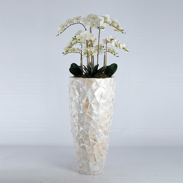 Bora Orchid Branch White H108