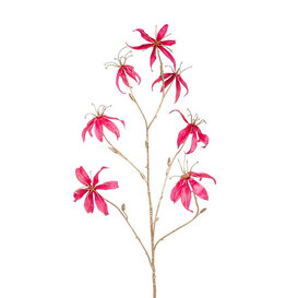 Gloriosa Branch Velvet Gold/Pink H108