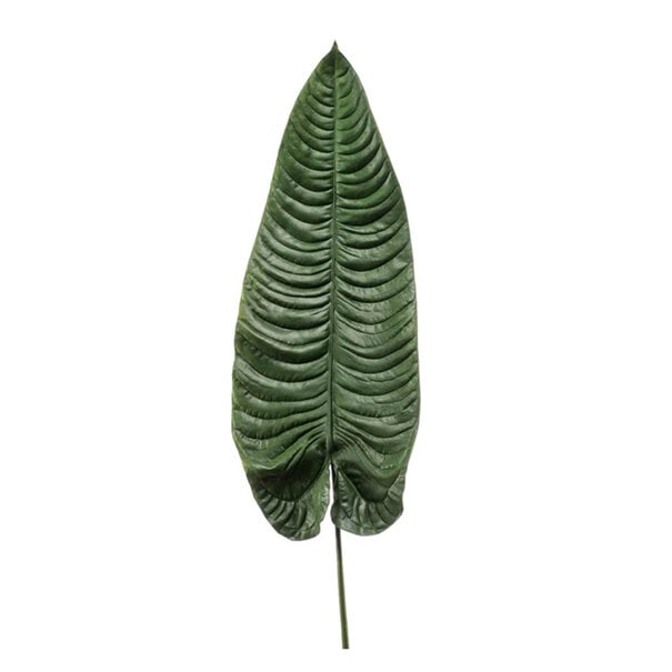 Giant Alocasia Leaf Green H105