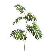 Philodendron Branch Green H135