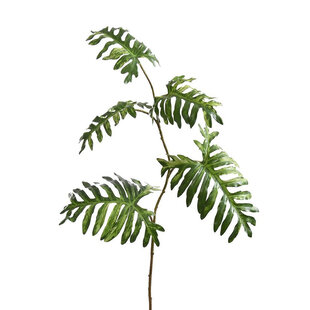 Philodendron Branch Green H135