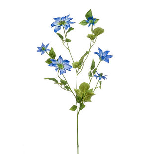 Clematis Branch Blue H110