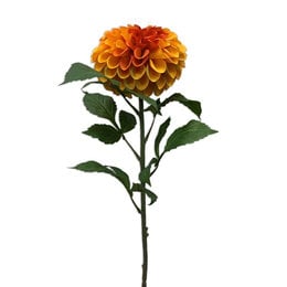 Dahlia Branch Orange H74