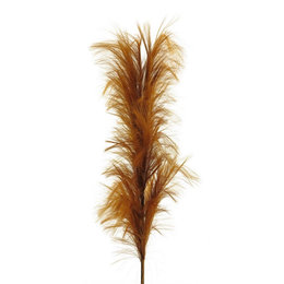 Feather branch Brown H160