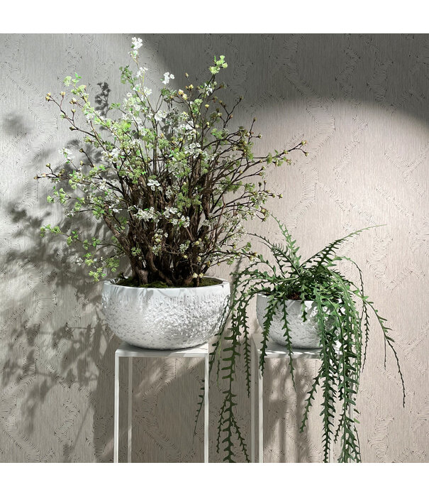 Hanging plant Epiphyllum Green H110