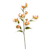 Gloriosa Branch Orange H125
