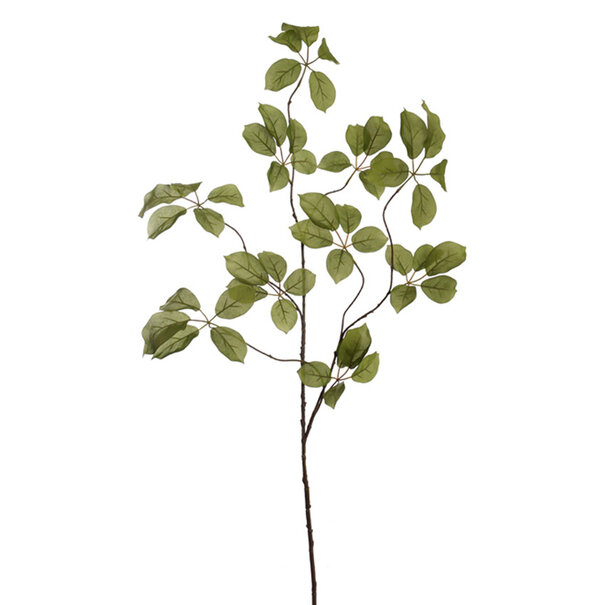 Appel Tak Groen H120
