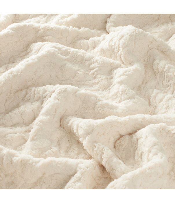 Cushion Florance White L50 B35