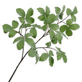 Rib leaf Branch Green H157