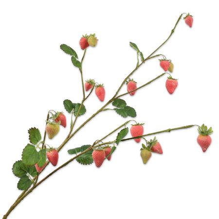 Strawberry fruit branch (SILK-KA)