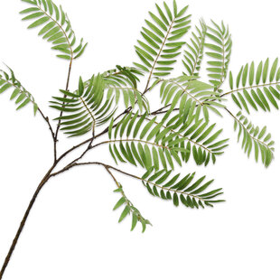 Palmblad Tak Groen H154