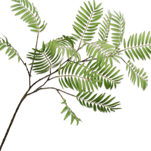 Palm leaf Branch Green H154