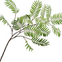 Palm leaf Branch Green H154