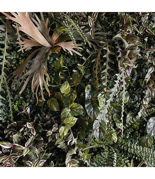 Greenwall / m² 1 m²