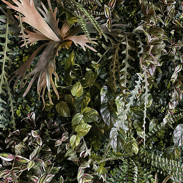 Greenwall / m² 1 m²