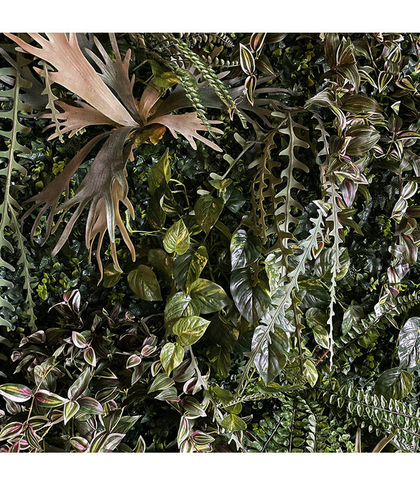 Greenwall / m² 1 m²