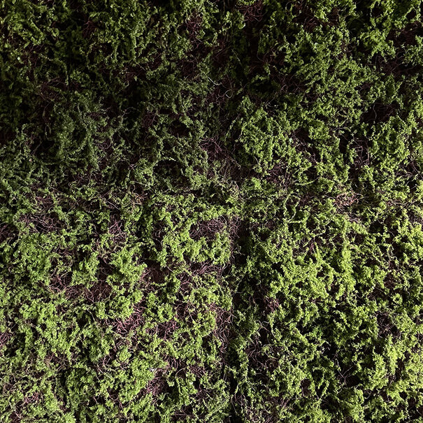 Greenwall Moss / m² 1 m²