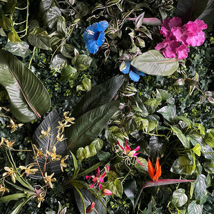 Greenwall Flowers / m² 1 m²