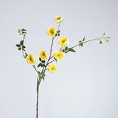 Rose Branch Yellow H116