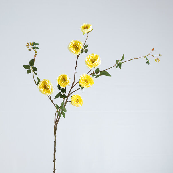 Rose Branch Yellow H116