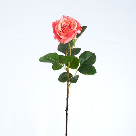 Rose (SILK-KA)