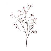 Rosehip Branch Red H130