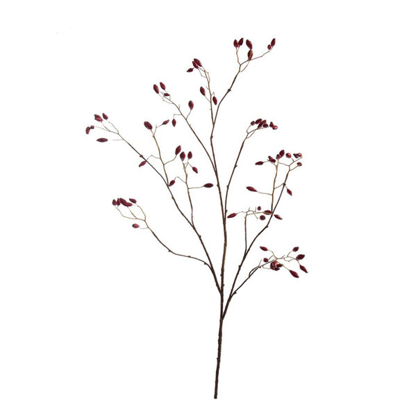 Rosehip Branch Red H130