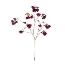 Goldstem branch Fuchsia H120