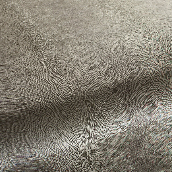 Cushion Pisa Taupe L60 B60