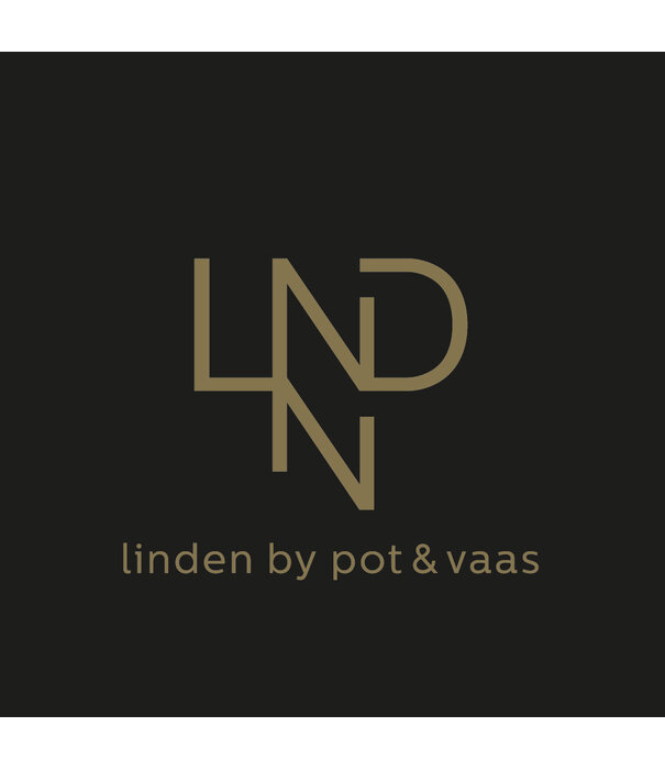 Kussen Spot Roze L50 B35