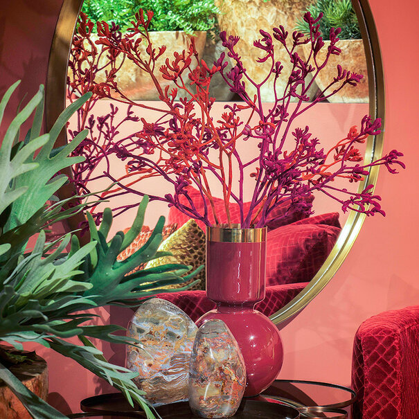 Branch Kangaroo Fuchsia H72
