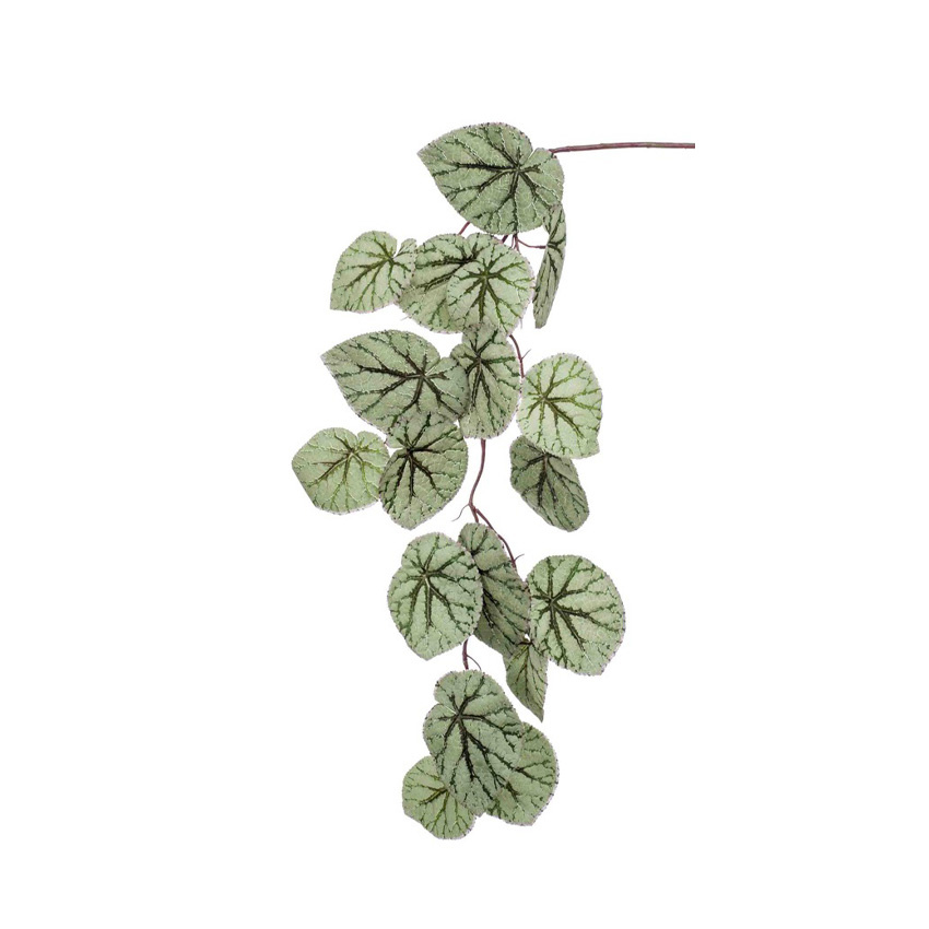 Begonia Hangplant H Pot Vaas Sfeermakers