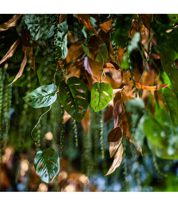 Monstera monkey guirlande Groen L120