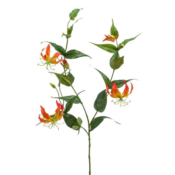 Gloriosa Branch Orange H120