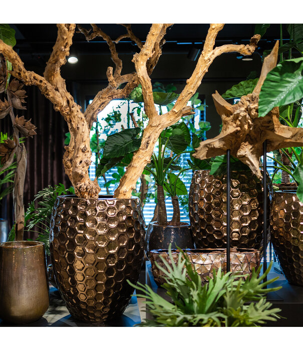 Pot Honey Gold D62 H80