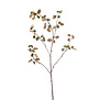 Lunaria Branch Dark Green H115