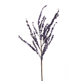 Berry Branch Purple H145