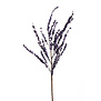 Berry Branch Purple H145