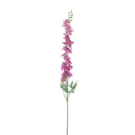 Delphinium Akana Pink H125