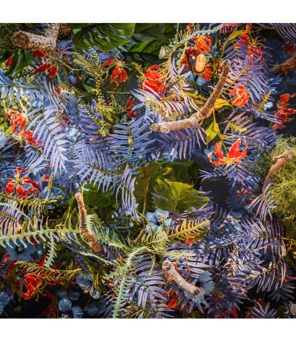 Gloriosa Tak Rood H125