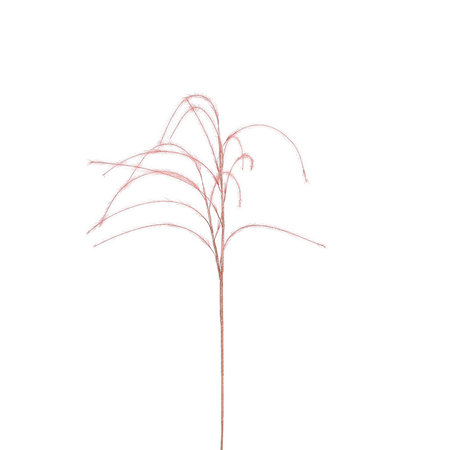 feather grass branch