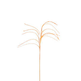 Plum grass Branch Orange D14 H150