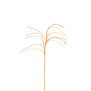 Feather grass Branch Orange D14 H150