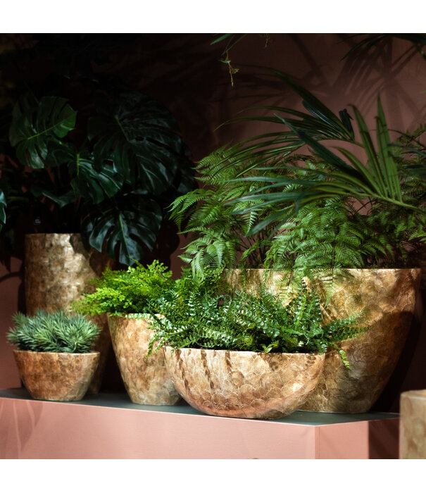 Pot Capiz Ovaal Goud L40 B15 H16