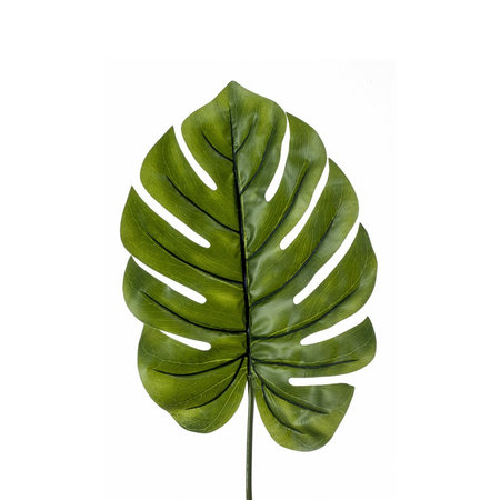 Monstera Blad XL H95