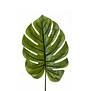 Monstera Leaf XL Green H95