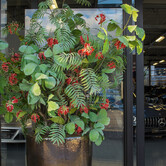 Gloriosa Tak Rood H125