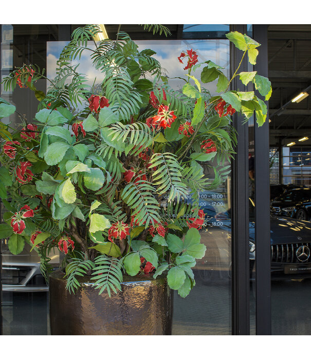 Gloriosa Tak Rood H125